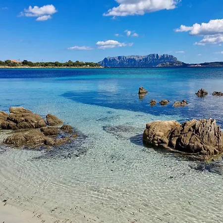 Casa Delle Brezze - A Due Passi Dalla Riva * Olbia