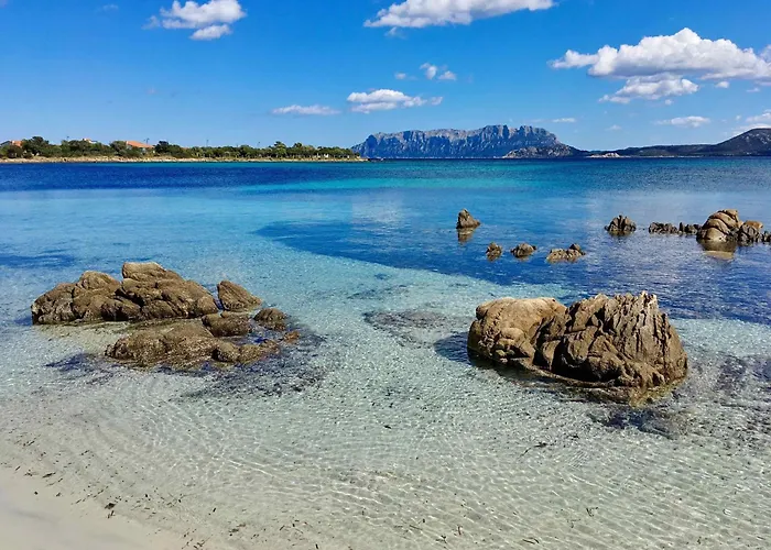 Casa Delle Brezze - A Due Passi Dalla Riva * Olbia